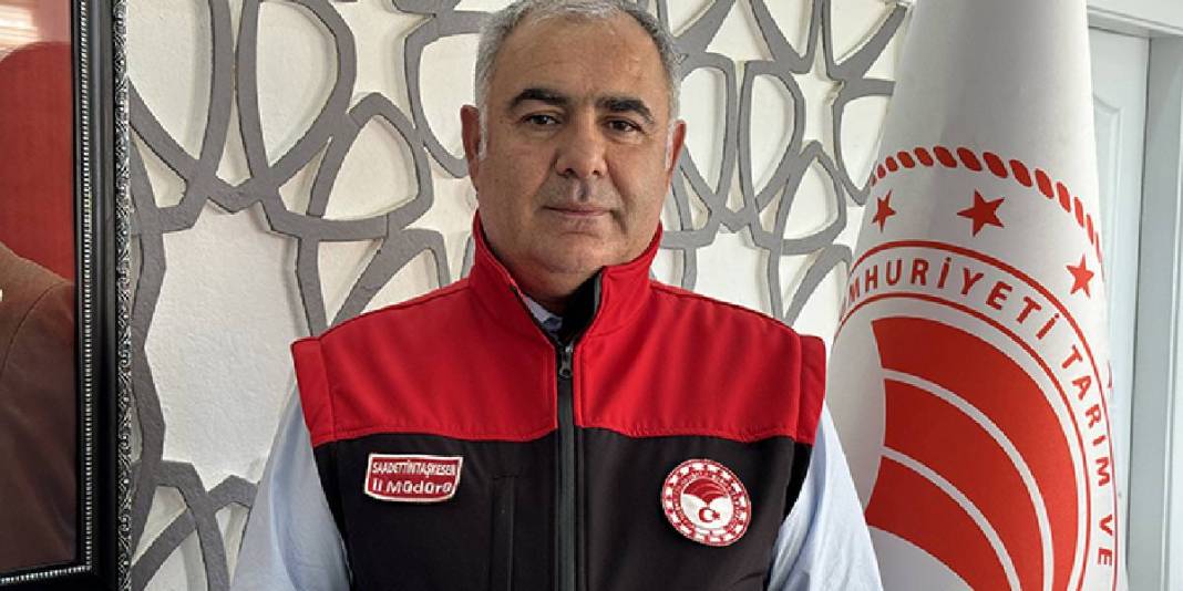 Güneş enerjisi destekli topraksız üretim: Yılda 600 tonu buluyor 6